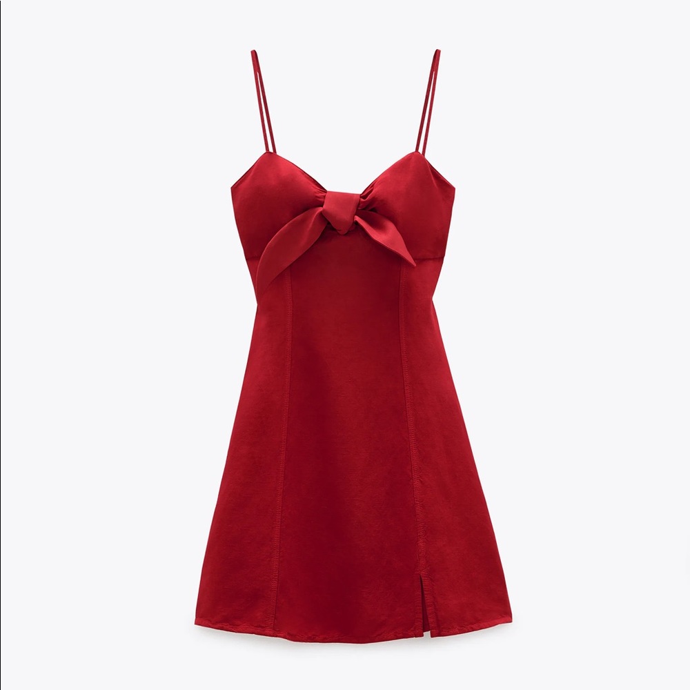 NWT✨Rare ZARA dress